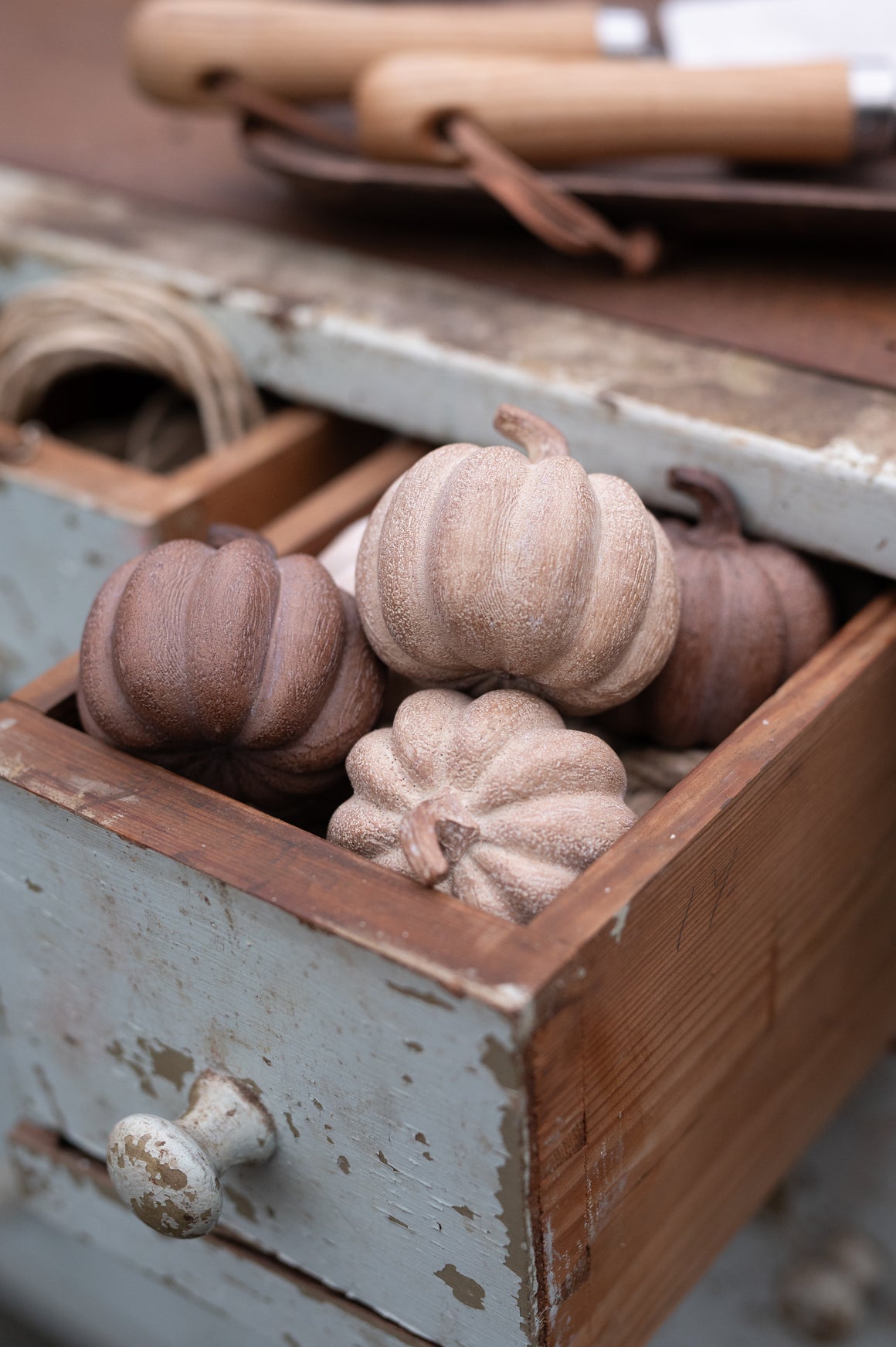 Brown & Cream Pumpkins