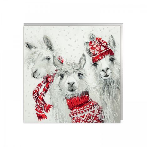 Pack of 6 Charity Christmas Cards - Various Designs