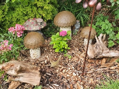 Set of 3 mushrooms