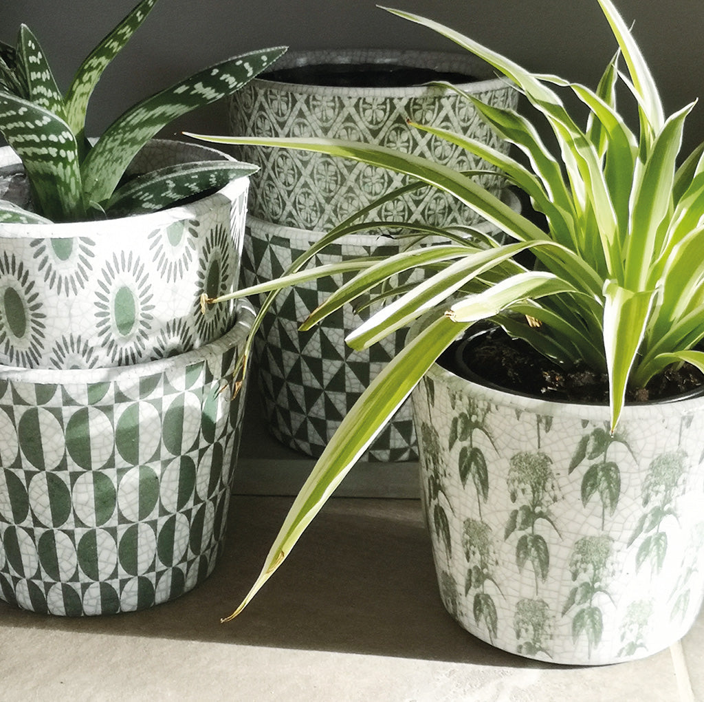 Vintage Green Plant Pot - Various designs