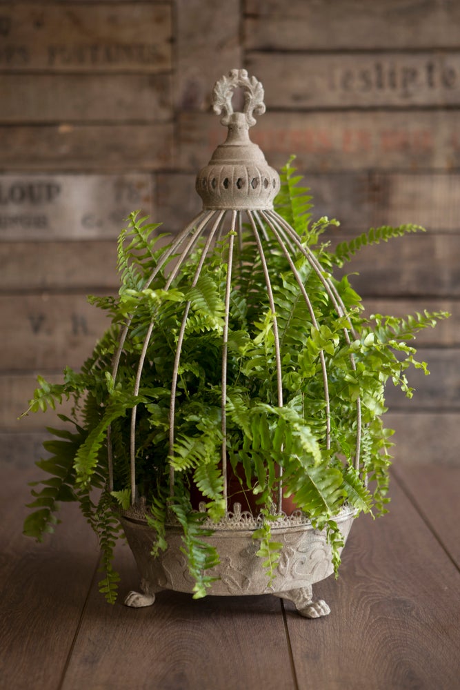 Distressed Caged Planters - 2 Sizes