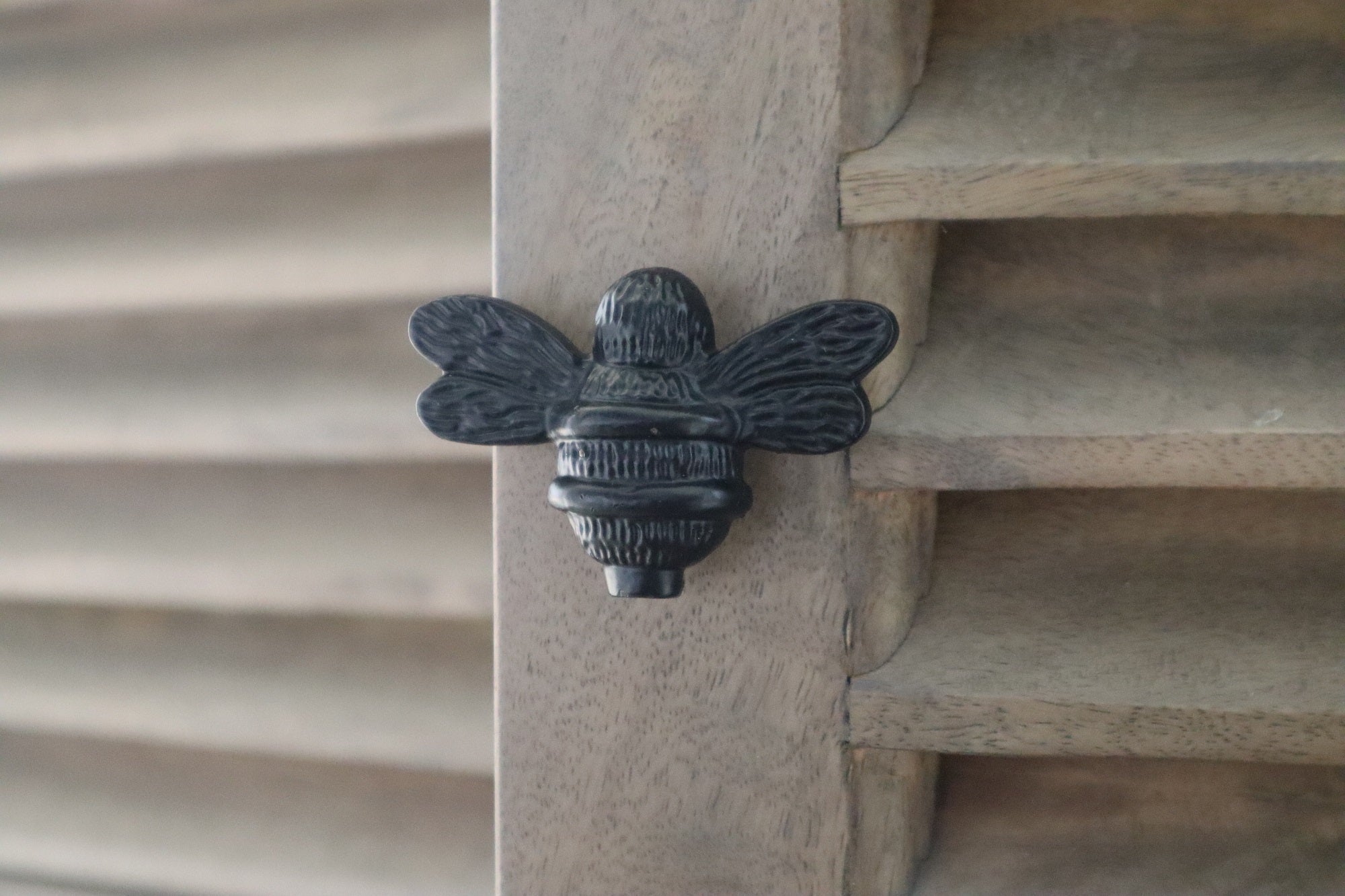 Black Finish Brass Bee Drawer Knob