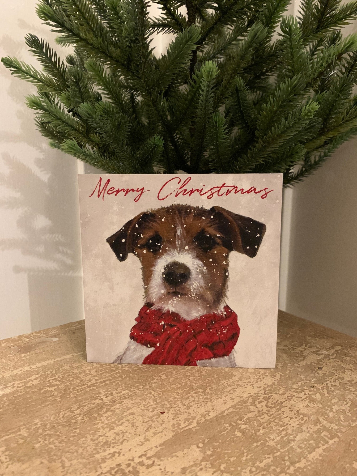 Christmas Cards - Pack of 6 - 'Archie'