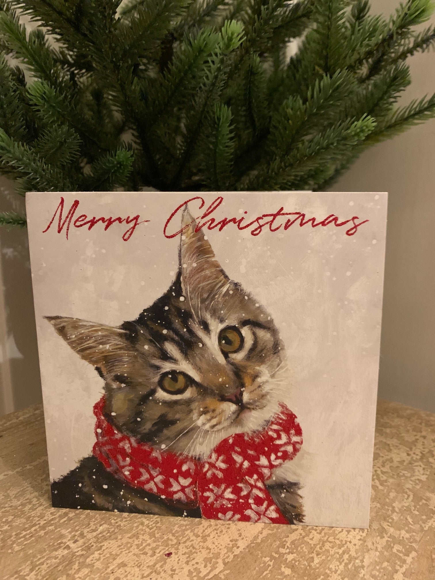 Christmas Cards - Pack of 6 - 'Ollie'