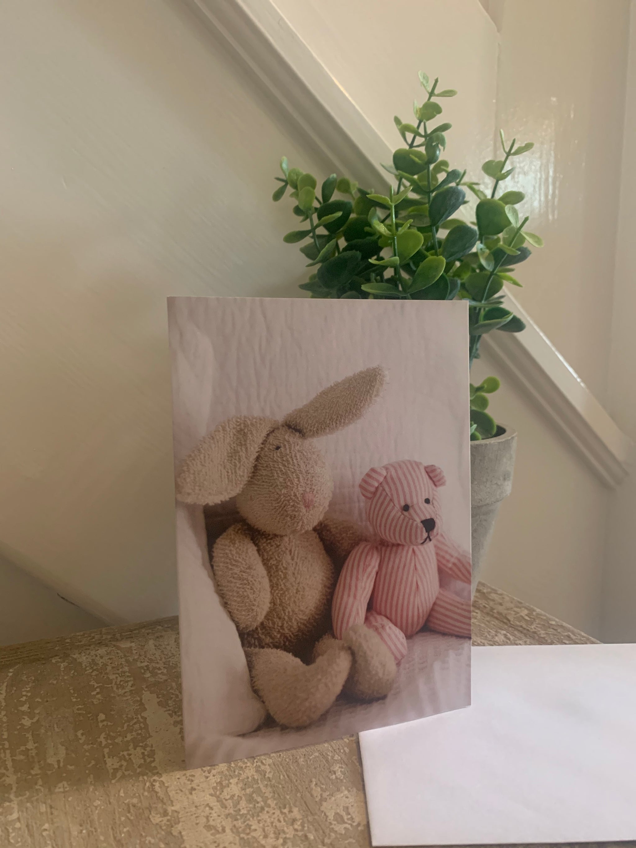 Cute teddy greeting cards - 4 designs