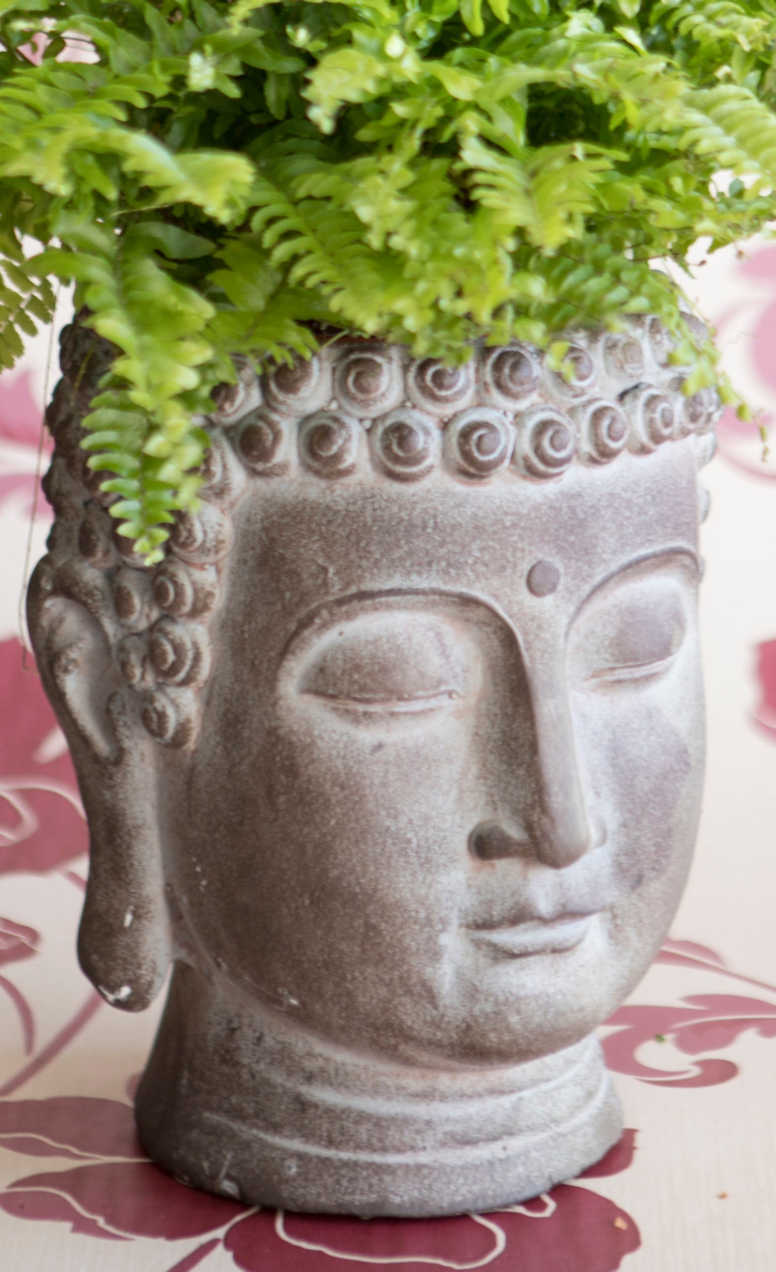 Buddha Plant Holder