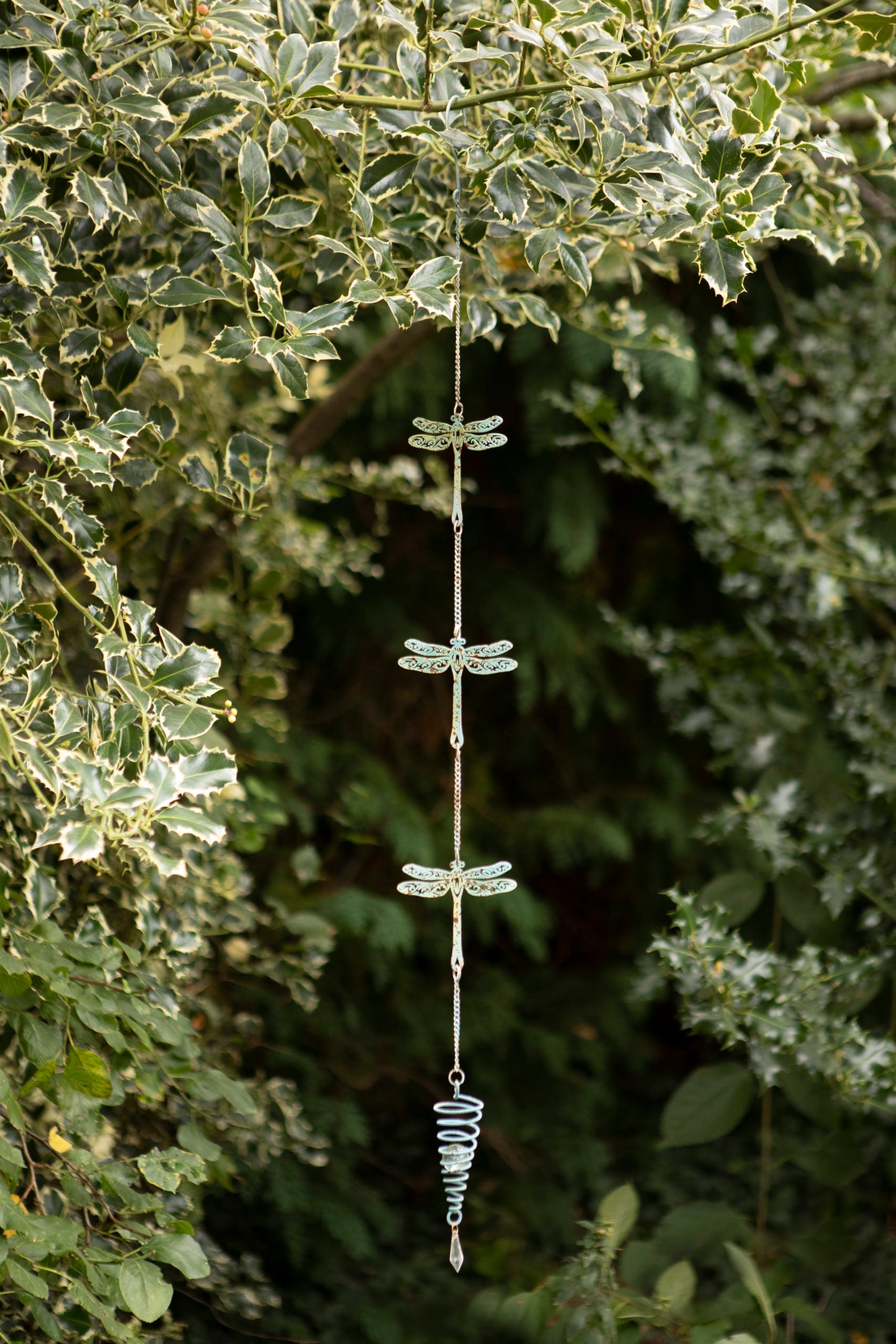 Hanging Dragonfly chain