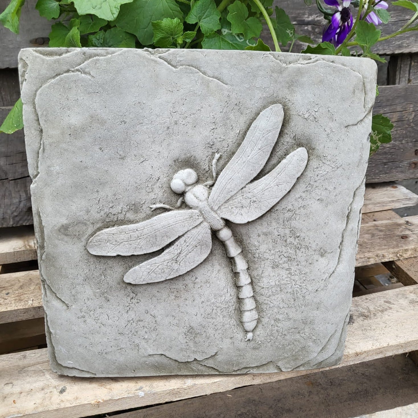 Stone Dragonfly Plaque