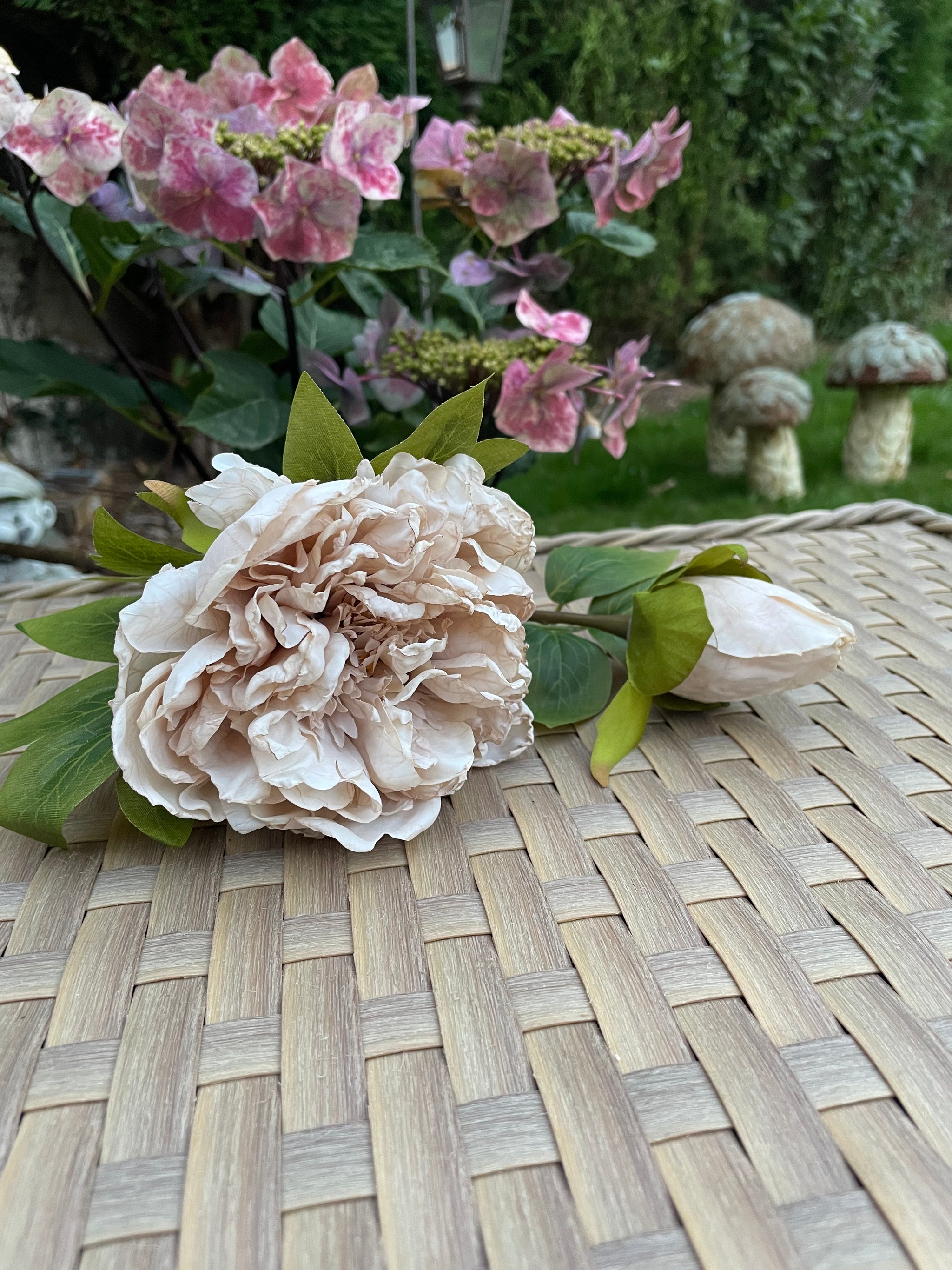 Dried Touch Open Peony with Bud - 4 colours